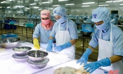Lan tỏa phong trào thi đua “Lao động giỏi - Lao động sáng tạo”